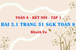 Bài 3.1 trang 51 SGK Toán 8 tập 1 Kết nối tri thức